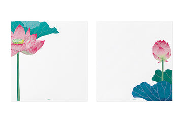 Midori | Papel de Carta Serigrafía Lotus