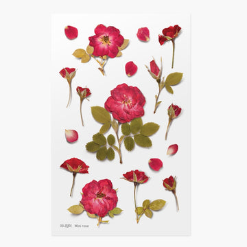 Appree | Pegatinas de Flores Prensadas Mini Rose