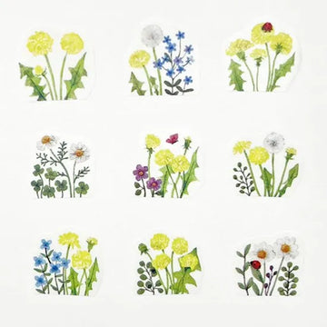Bande | Dandelion Field roll stickers