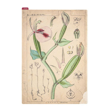 Hobonichi | Pencil Board A5 Writing Template Tomitaro Makino