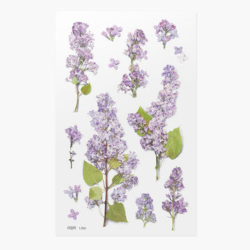 Appree | Pegatinas de Flores Prensadas Lilac