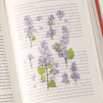 Appree | Pegatinas de Flores Prensadas Lilac
