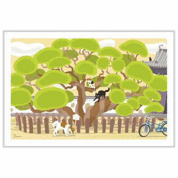 Active | Postal Tabi Neko Spring Perfectly Round Tree