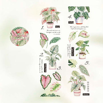 Mo Card | Green Oxygen Plant Series Diary Of Plants PET Tape