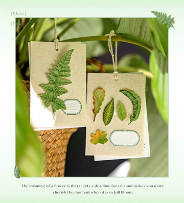 Mo Card | Pegatinas Natural Exhibition Room 3D Leaf Light Language