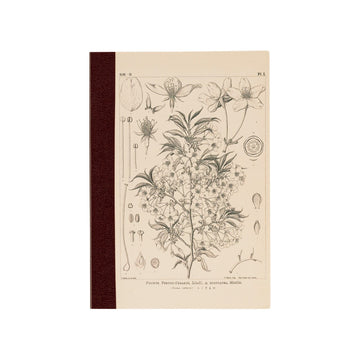 Hobonichi | Cuaderno Hobonichi Notebook A6 Tomitaro Makino (Cuadros)