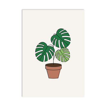 Redfries | Postal Monstera