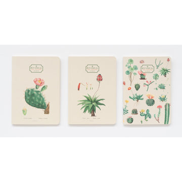Kokonote | Pack de 3 Cuadernos A6 Botanical Cacti