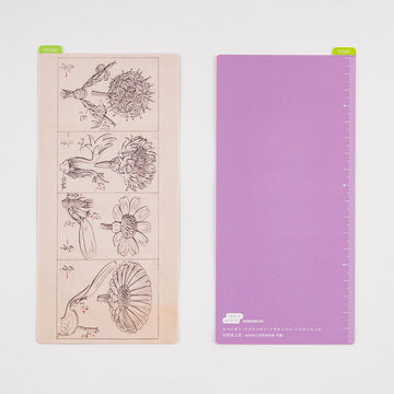 Hobonichi | Plantilla de Escritura Pencil Board Weeks Tomitaro Makino