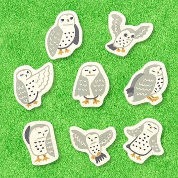 Seal-do | Pegatinas Endangered Species White Owl