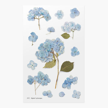 Appree | Pegatinas de Flores Prensadas Hydrangea