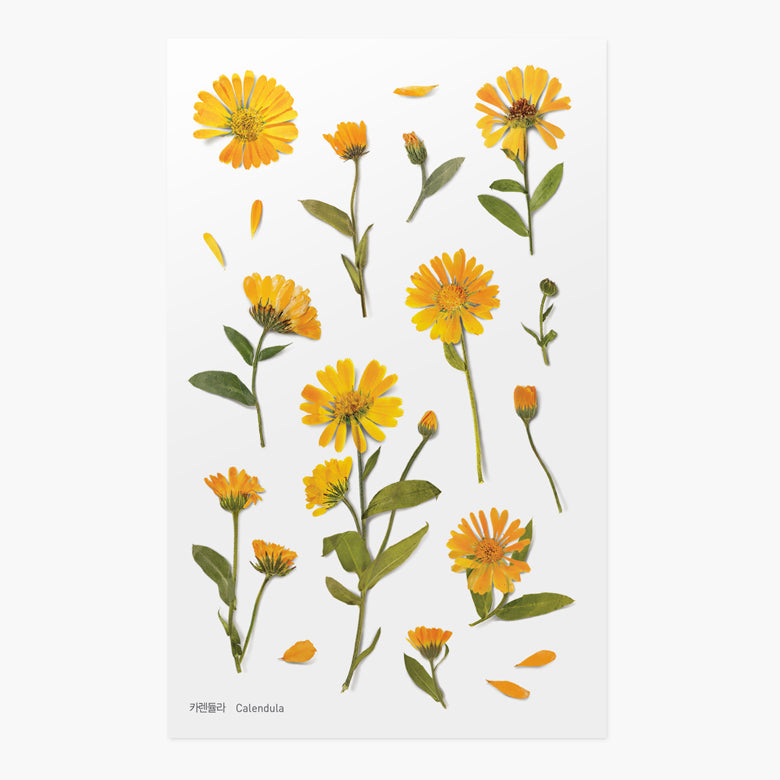 Appree | Pegatinas de Flores Prensadas Calendula