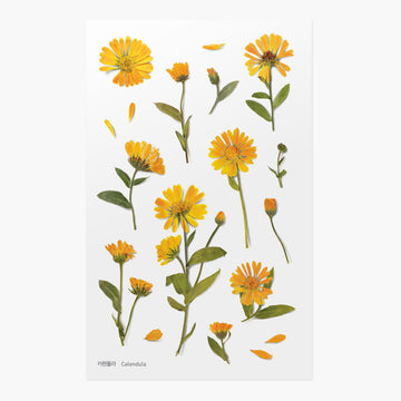 Appree | Pegatinas de Flores Prensadas Calendula