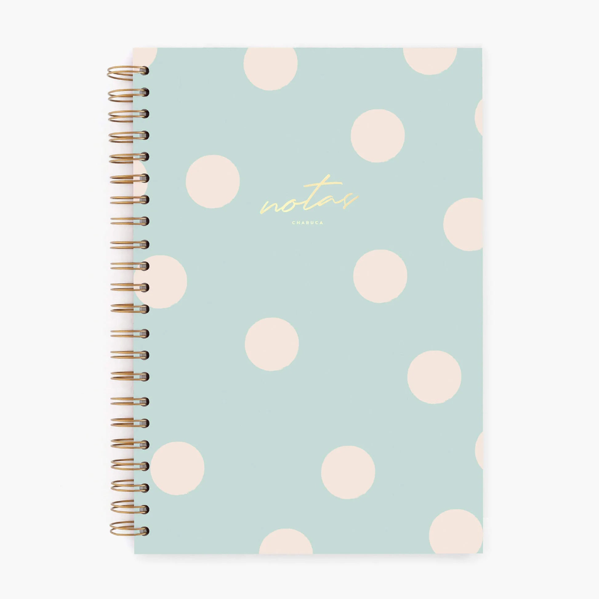 Charuca | Cuaderno A4 Mint (Puntos)