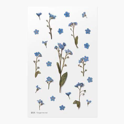 Appree | Pegatinas de Flores Prensadas Forget Me Not