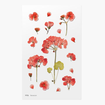 Appree | Pegatinas de Flores Prensadas Geranium