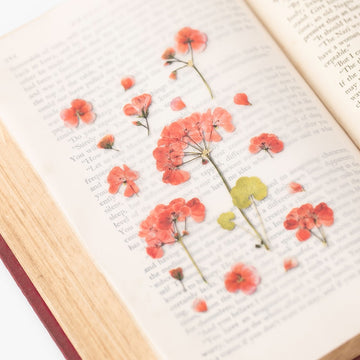 Appree | Pegatinas de Flores Prensadas Geranium