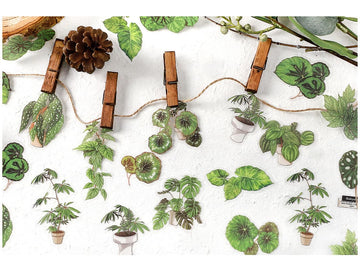 Infeel.me | Green Plant Research Center Begonia Stickers