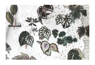 Infeel.me | Green Plant Research Center Giant Taro Stickers