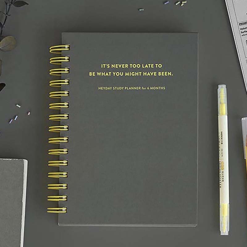 Iconic | Planificador de Estudio Hey Day Gray