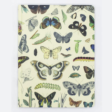 Cognitive Surplus | Notebook The Hypothesis Butterflies