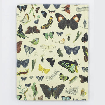 Cognitive Surplus | Cuaderno The Hypothesis Butterflies