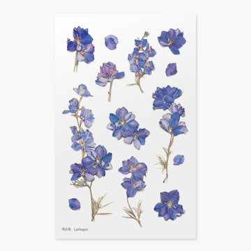 Appree | Pegatinas de Flores Prensadas Larkspur