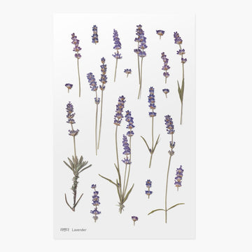 Appree | Pegatinas de Flores Prensadas Lavender