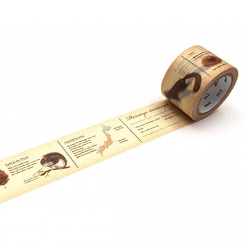 MT Masking Tape |  Encyclopedia Flying Squirrel Washi Tape