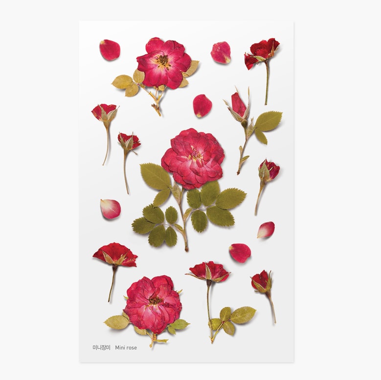 Appree | Mini Rose Pressed Flower Stickers