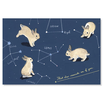 Active | Postal Moriyama Motoko Constellation Bunny