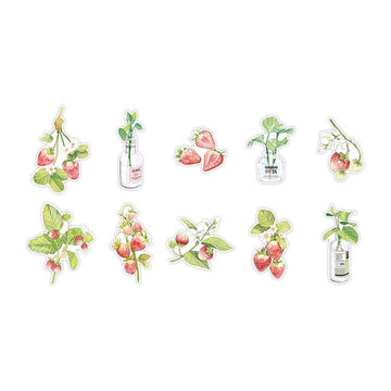 Papermore | Pegatinas Plant and Flower Journal Strawberry