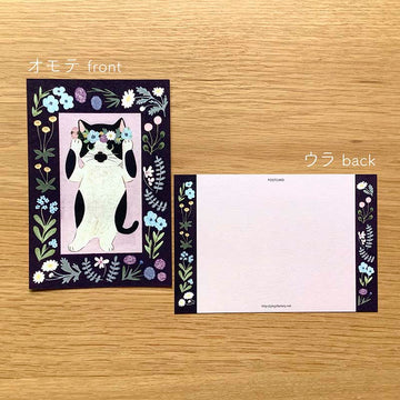 4Legs | Postal Cat in a Picture Book New2 Bull Cat