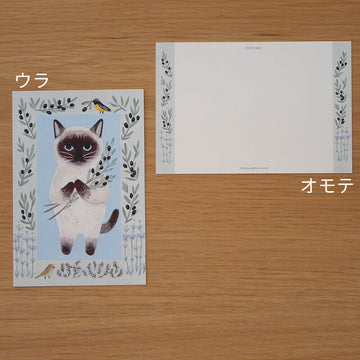 4Legs | Postal Cat in a Picture Book #12 Siamese Cat