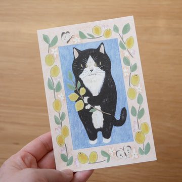 4Legs | Postal Cat in a Picture Book #15 Tuxedo Cat