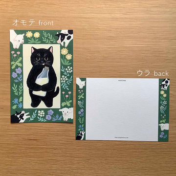 4Legs | Postal Cat in a Picture Book New4 Black Cat