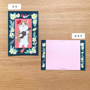 4Legs | Postal Cat in a Picture Book New6 Brown and White Hawaii