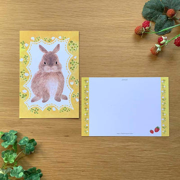 4Legs | Postal Rabbit in Spring