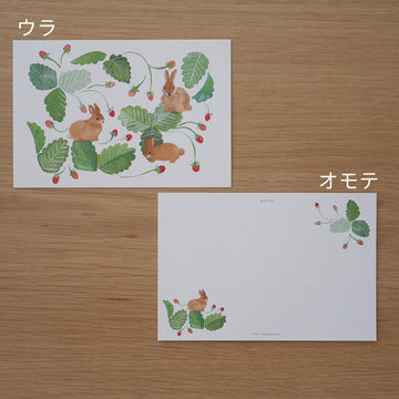 4Legs | Postal 3 Rabbits and Strawberry