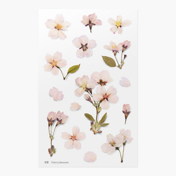 Appree | Pegatinas de Flores Prensadas Cherry Blossom