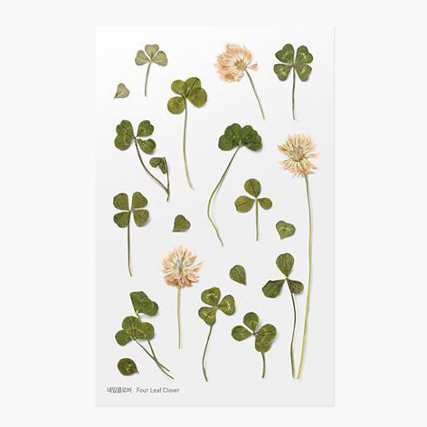 Appree | Pegatinas de Flores Prensadas Four Leaf Clover