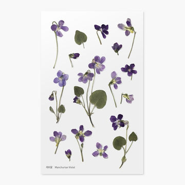 Appree | Pegatinas de Flores Prensadas Manchurian Violet