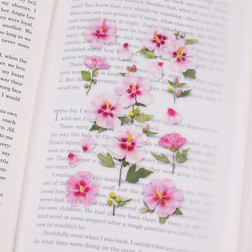 Appree | Pegatinas Flores Prensadas Rose Of Sharon