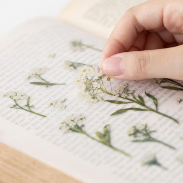 Appree | Pegatinas de Flores Prensadas Sweet Alyssum