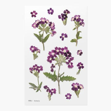 Stickers de Flores Prensadas Verbena