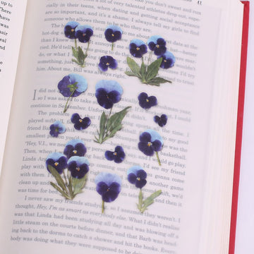 Appree | Pegatinas de Flores Prensadas Pansy