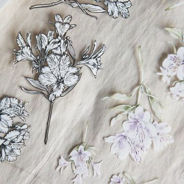 Loi Design | Small Bouquet Clear PET Tape (1 metro)