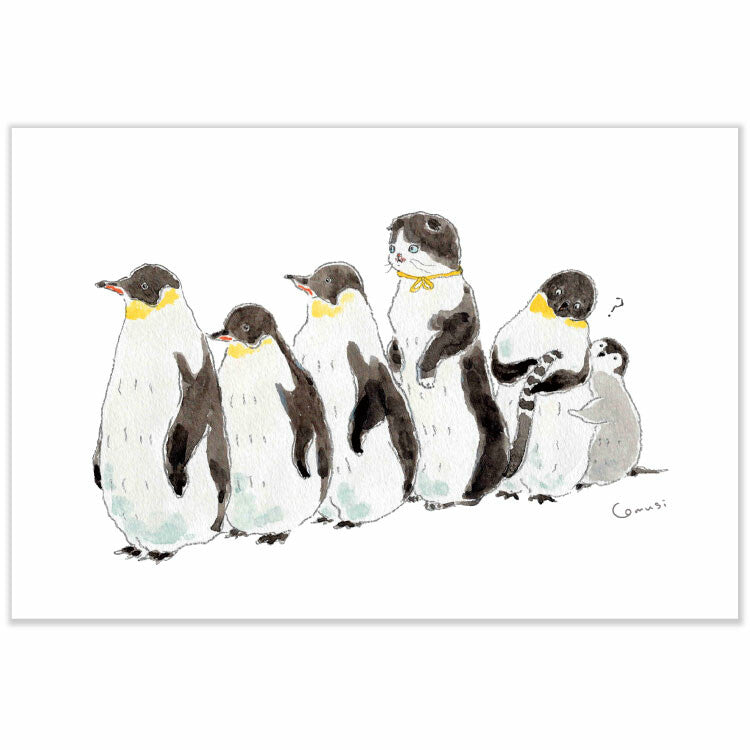 Active | Postal Tokorokomugi Summer Penguins In A Big Group