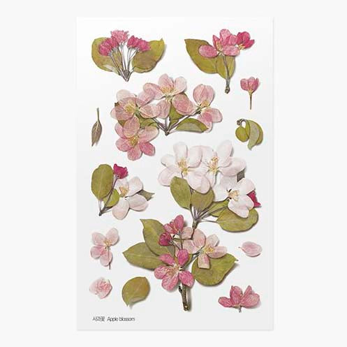 Appree | Pegatinas de Flores Prensadas Apple Blossom