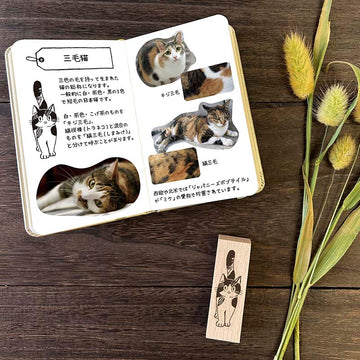 Arte CO | Sello Calico Cat